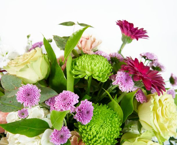 detalle de variedad de flores de colores 