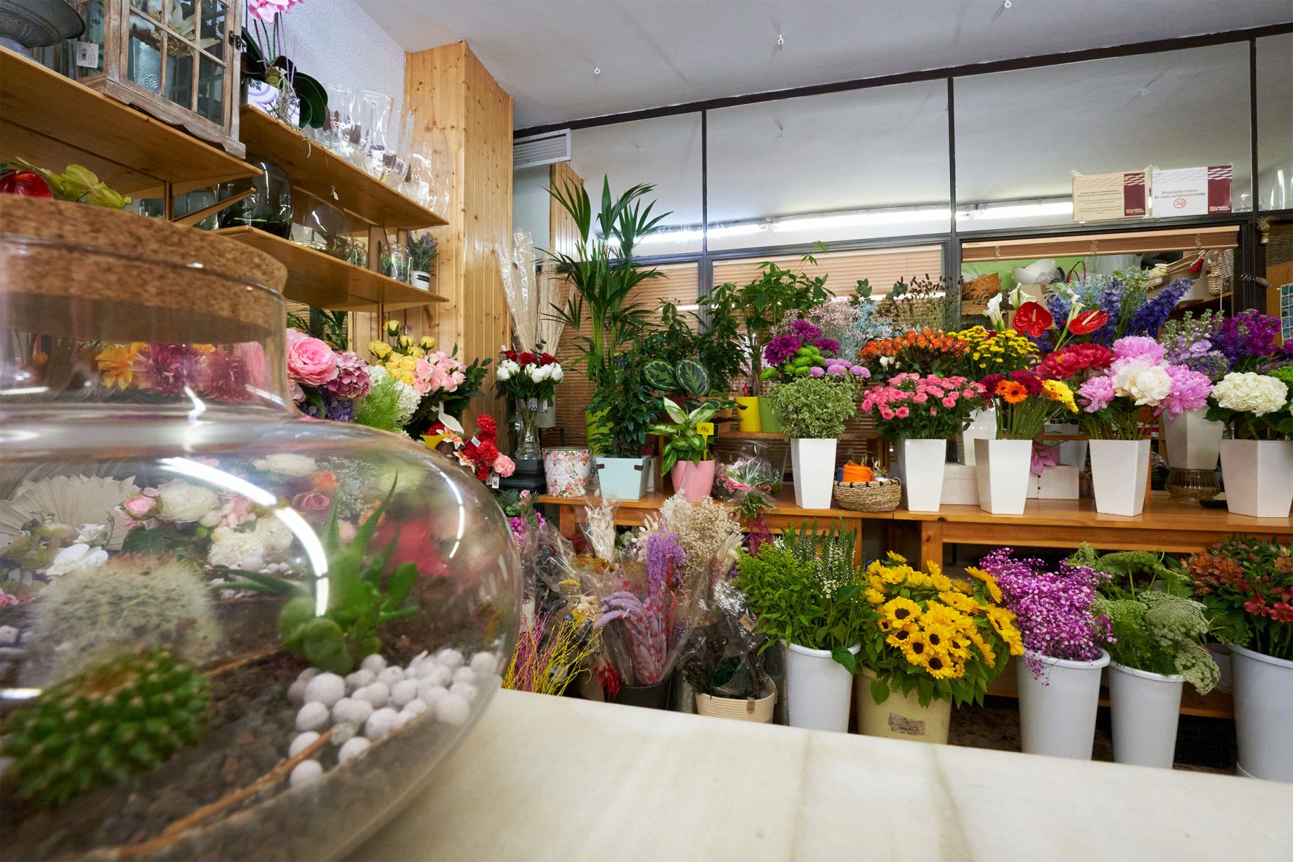 detalle de las flores que hay en la tienda para comprar 