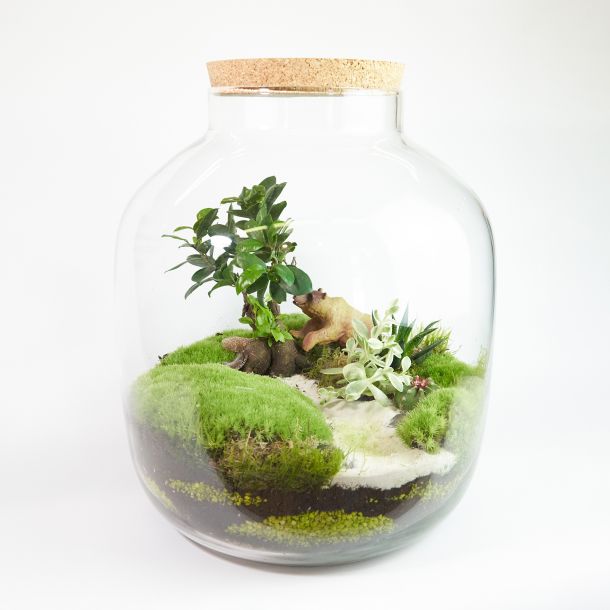 terrario redondo de cristal con plantas y oso de juguete dentro 